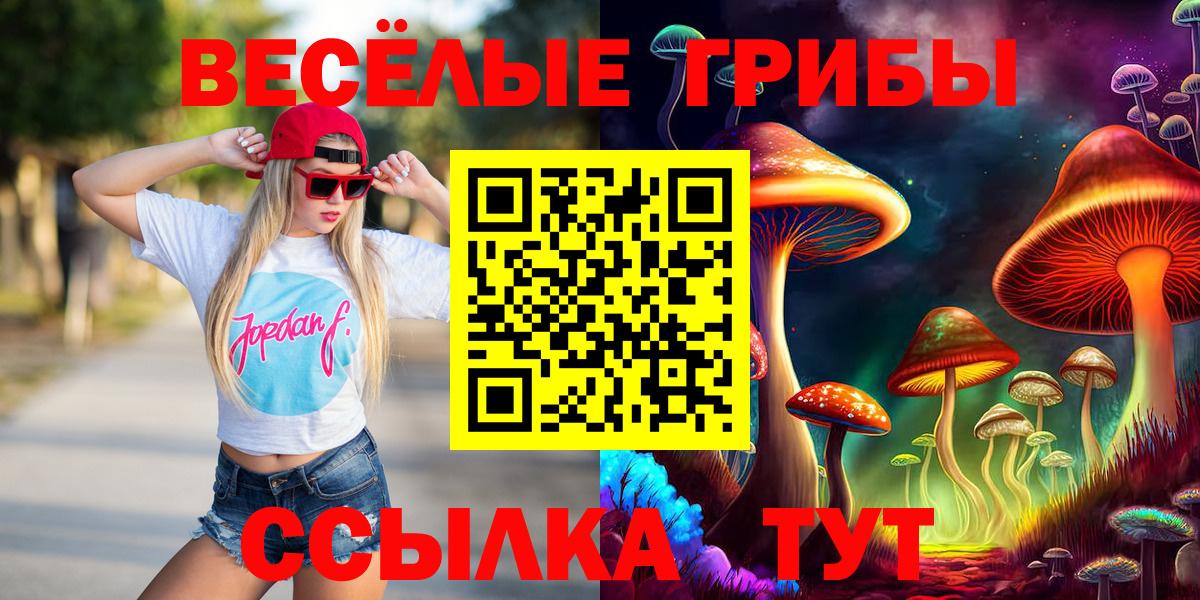 Мурино  Галлюциногенные грибы Psilocybine cubensis  Вход с VPN 